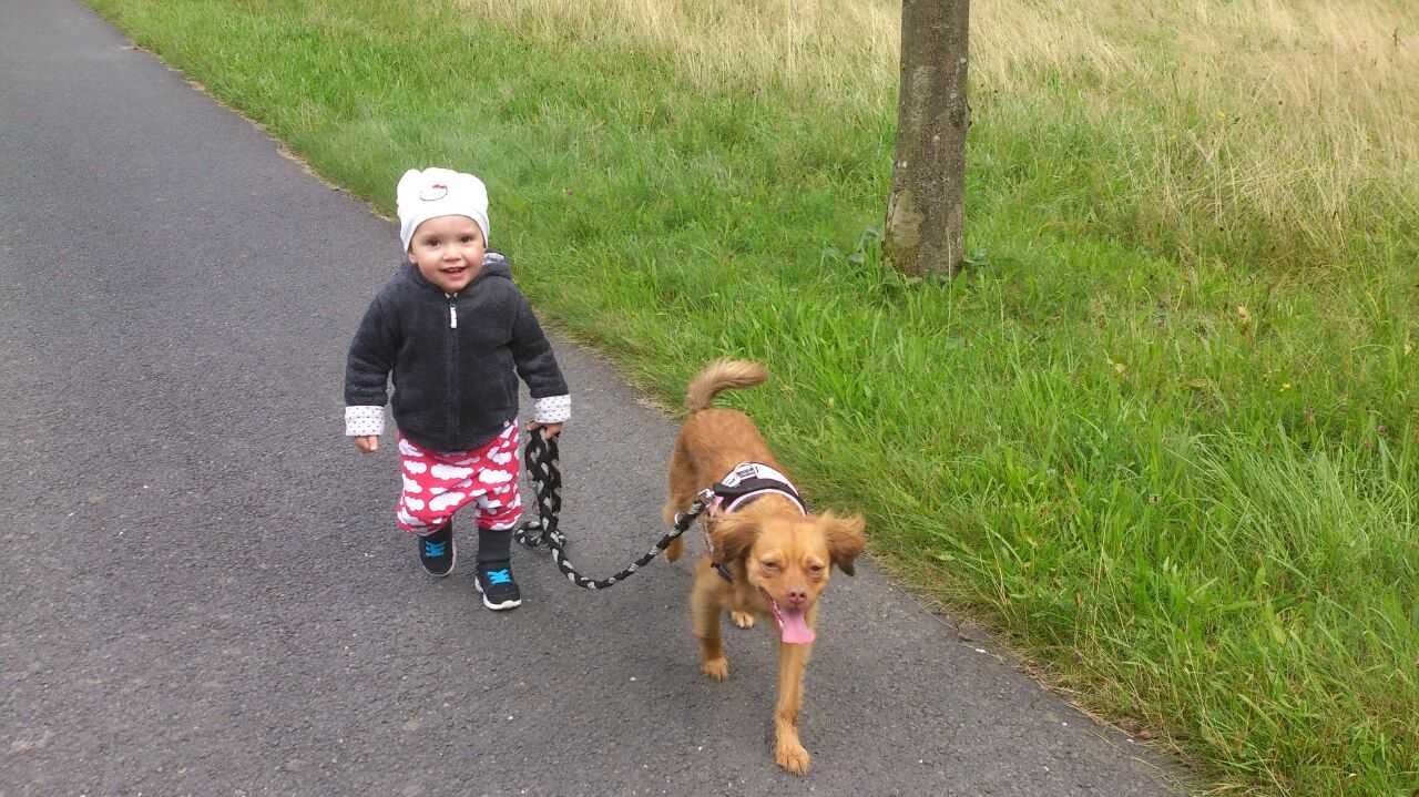 Bild eines Kindes beim Spazierengehen mit Hund